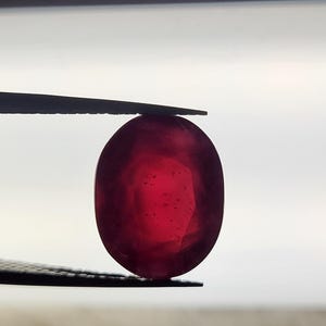 Op de afbeelding: Een levendige, ovaal geslepen robijn, vastgehouden door een pincet tegen een heldere achtergrond. De dieprode steen vertoont interne facetten en een gepolijst oppervlak, wat de natuurlijke schoonheid benadrukt. Een close-up benadrukt de helderheid en kleur.