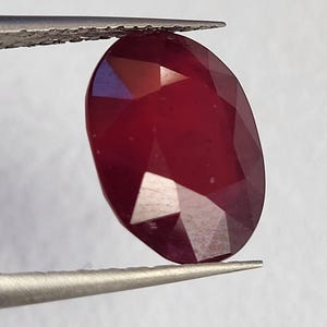 Op de afbeelding: Een gefacetteerde, ovaalvormige robijn edelsteen, vastgehouden door een pincet. De robijn heeft een diepe, rijke rode kleur met meerdere facetten die het licht vangen. De edelsteen wordt gepresenteerd tegen een neutrale achtergrond.