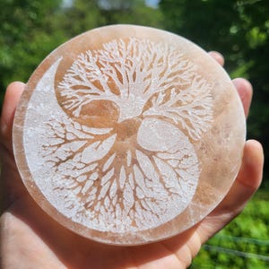 Puede incluir: Un posavasos redondo de color marrón claro con un diseño de árbol de la vida blanco. El árbol está grabado en el posavasos, con las raíces y las ramas formando un patrón simétrico. El posavasos se sostiene en una mano.