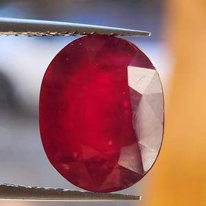 Op de afbeelding: Een gefacetteerde, ovaalvormige robijn edelsteen, vastgehouden door een pincet. De edelsteen heeft een diepe, verzadigde rode kleur, met facetten die het licht vangen. De achtergrond is een vage mix van oranje en blauw.