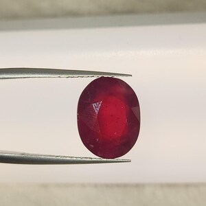 Op de afbeelding: Een gefacetteerde, ovaalvormige robijn, vastgehouden door een pincet. De edelsteen heeft een dieprode kleur, met zichtbare interne insluitsels en een gepolijst oppervlak. De achtergrond is neutraal.