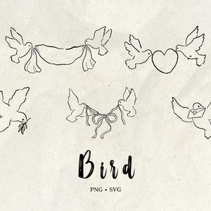 May include: Line art illustrations of birds carrying a banner, a heart, a sprig, a ribbon, and a letter. The word "Bird" is written in a script font below the illustrations, with "PNG • SVG" below it. The images are in black on a cream background.