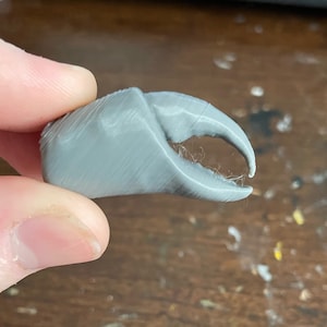 May include: A gray 3D printed crab claw with a textured surface.