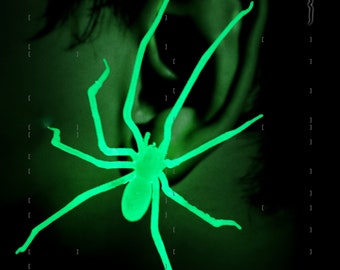im Dunkeln leuchtende Plastik Spinne als Ohrring | Realistische Hauswinkelspinne Ohrstecker | 1 Stk