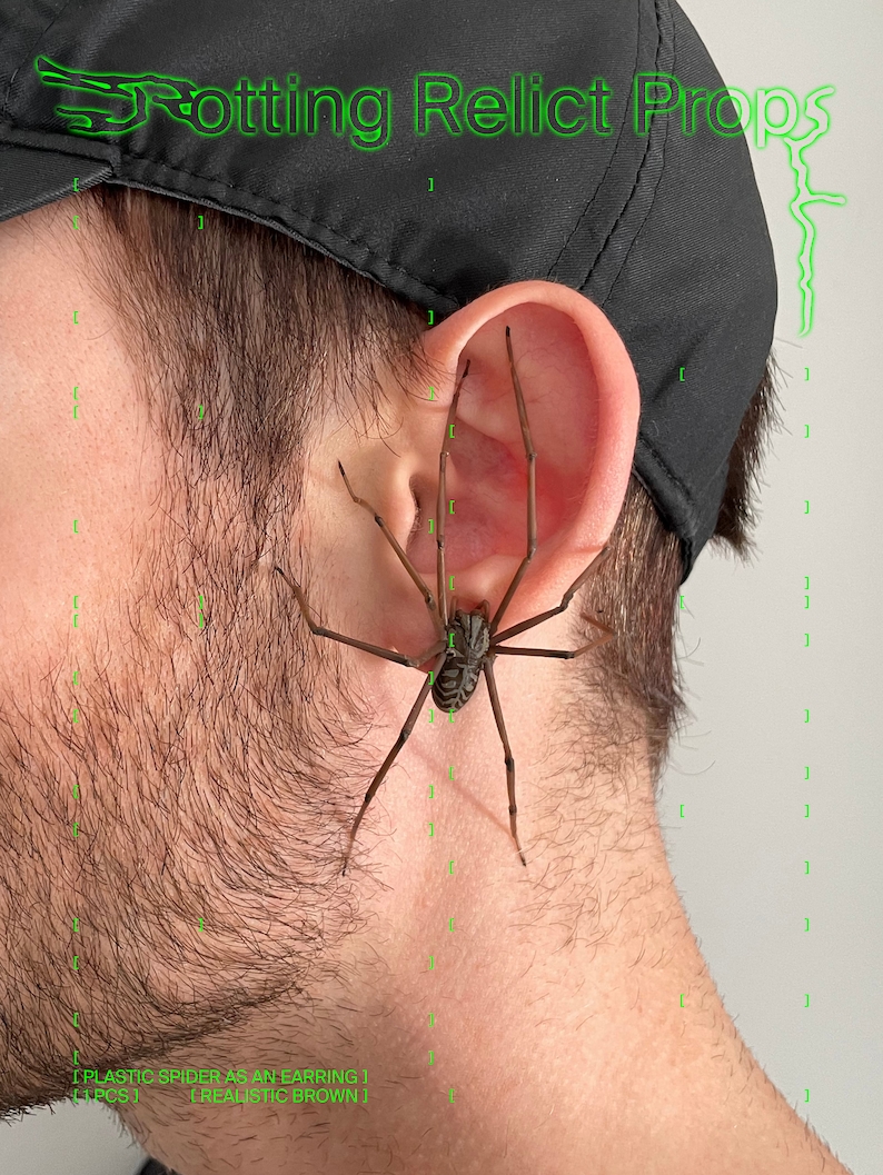 Araignée en plastique comme boucle d'oreille Araignée de maison réaliste 1 pièce image 1