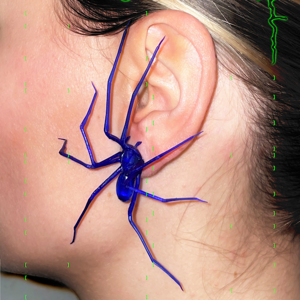 Kunststof spin als oorbel | Saffierblauw | realistische huisspin oorknopjes | 1 st