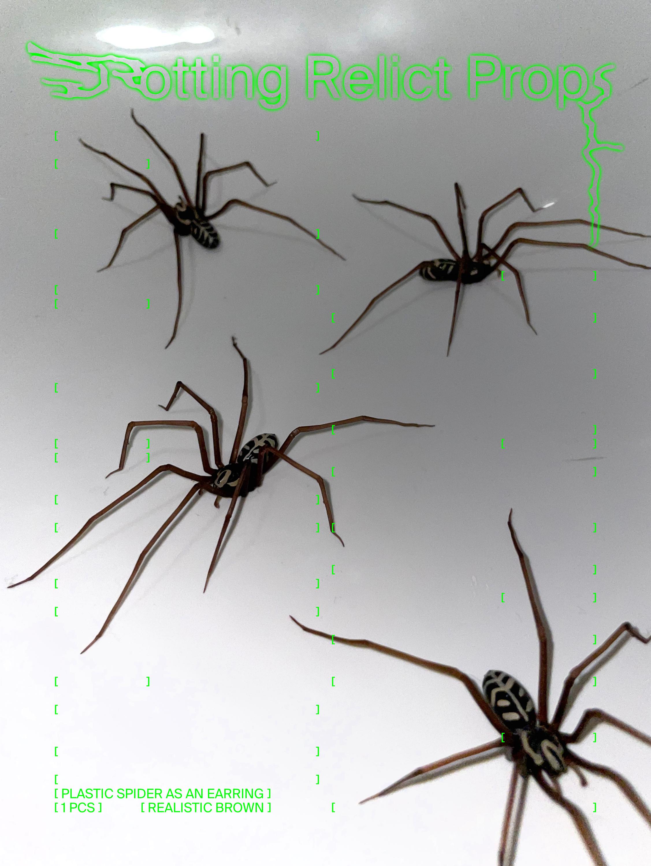 plastic spider as an earring (ORIGINAL!) | realistic giant house spider stud earrings | 1 pcs