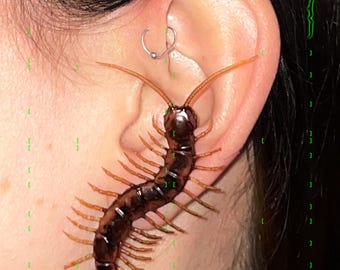 big plastic centipede as an earring | realistic centipede | 1 pair