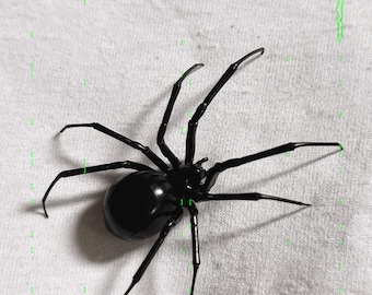 riesige Plastik Schwarze Witwe Spinne als Pin | Realistische Latrodectus hesperus Brosche | 1 Stk