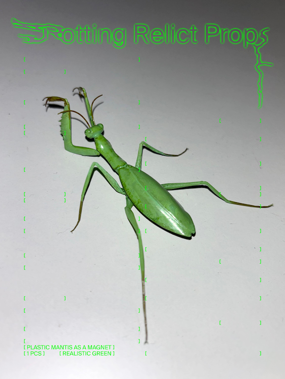 Plastic Praying Mantis as a Magnet (ORIGINAL!) | Realistic Praying