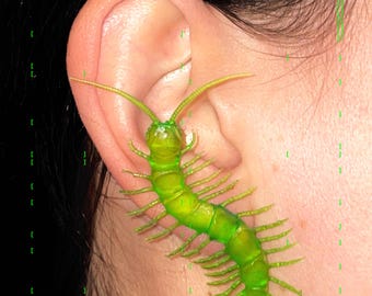 big plastic centipede as an earring | neon green realistic centipede | 1 pair