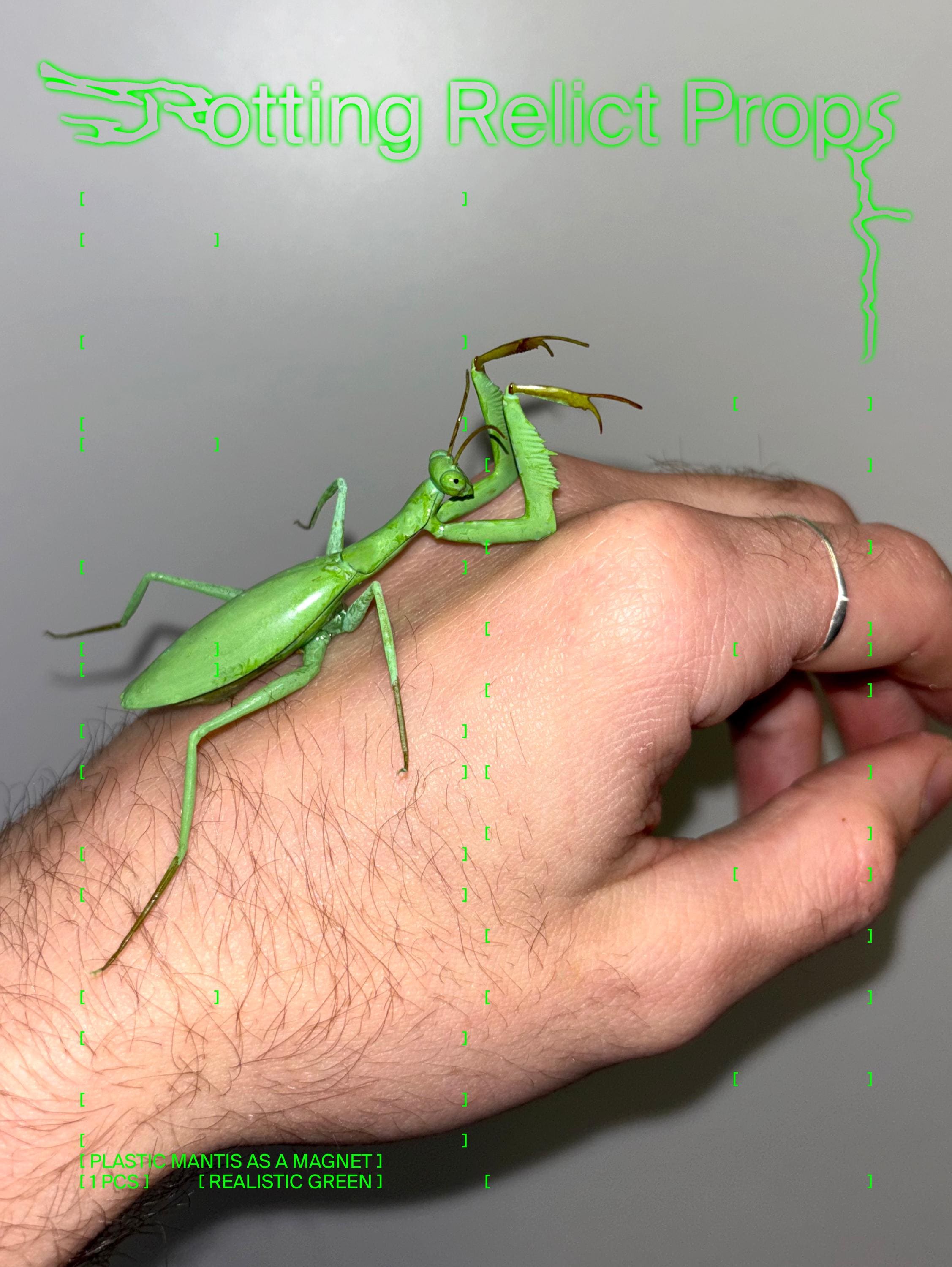 Plastic Praying Mantis as a Magnet (ORIGINAL!) | Realistic Praying