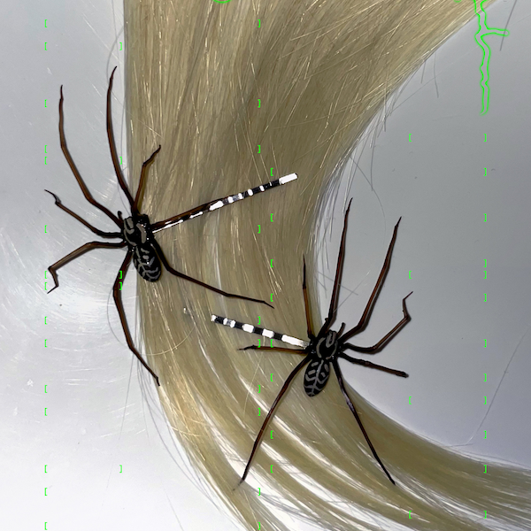 plastic spider as a hair clip | bobby pin | realistic giant house spider | 1 pcs