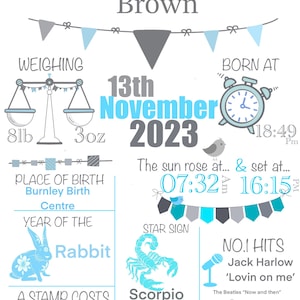 Baby/Newborn details poster, On the Day you were born