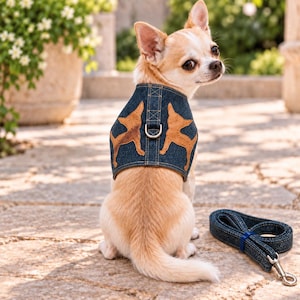 Può includere: Un piccolo cane color marrone chiaro e bianco indossa una pettorina in denim blu scuro con due applicazioni in pelle color marrone chiaro a forma di cane e un anello a D in metallo. Un guinzaglio in denim blu scuro con moschettone.
