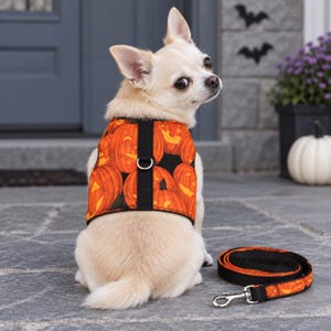 Halloweenpumpahundsele med matchande koppel, orange Jack-o'-Lantern-väst, liten och medelstor