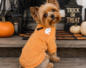 Pull d'Halloween pour chien, décoration fantôme orange Boo, tenue pour petit chien
