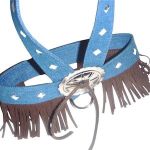 Western Strappy Dog Harness