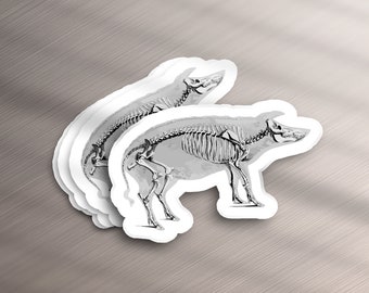 May include: Two white stickers with a black and white anatomical illustration of a pig skeleton.