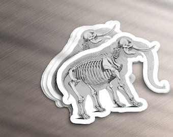 May include: A sticker featuring a detailed anatomical illustration of an elephant skeleton. The sticker is layered, creating a 3D effect.