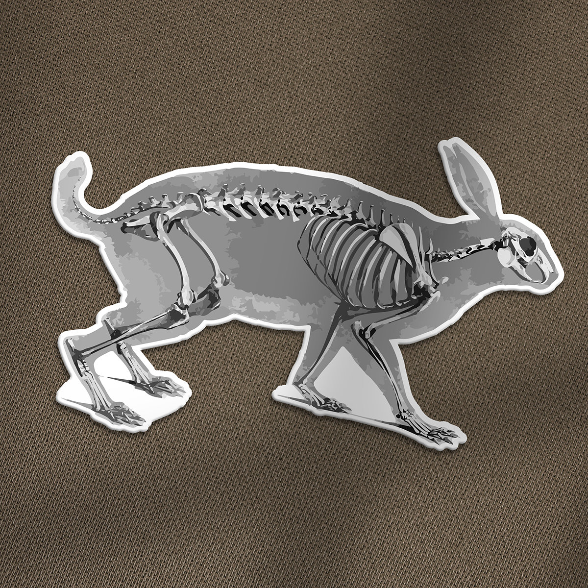 Rabbit X-ray Vinyl Sticker - Etsy