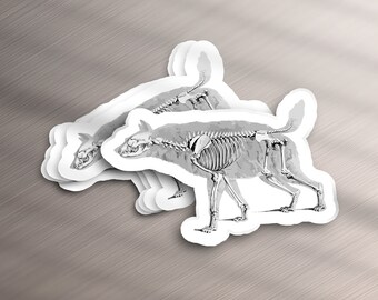 May include: A set of two black and white stickers featuring a detailed anatomical illustration of a dog skeleton.