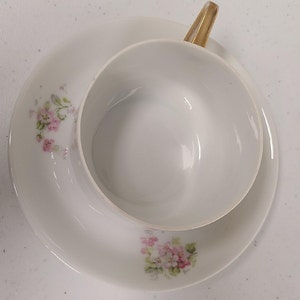 Victoria Austria Tea Cup and Saucer