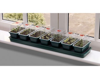 Self-Watering Mini Greenhouses - 7 on a Tray - Garland