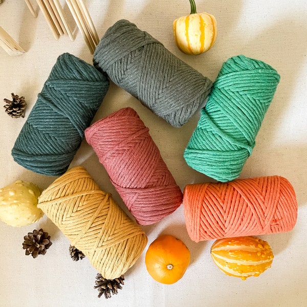 Corde de Macramé 3 mm 75 mètres Couleurs Automnales pour la Création de Feuilles en Macramé ou pour Halloween