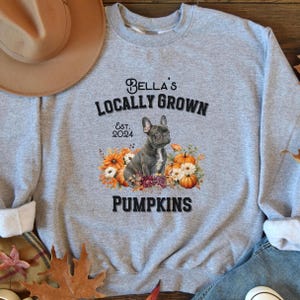 May include: Grey sweatshirt with the text "Bella's Locally Grown Est. 2024 Pumpkins" and a black and white French bulldog sitting in a bed of autumn leaves and pumpkins.