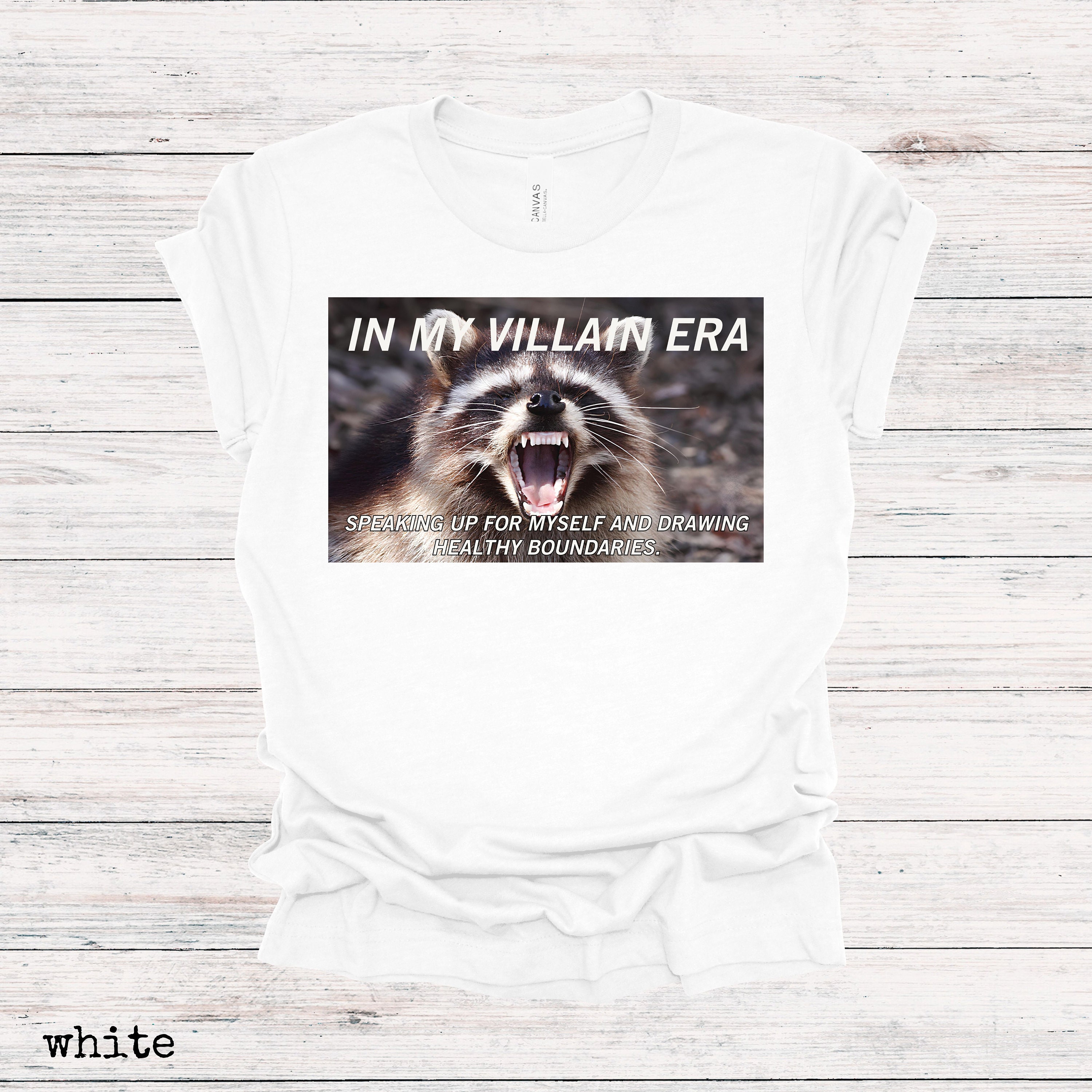 In My Villain Era Raccoon Shirt Meme Shirt Raccoon Sweatshirt Shirts ...