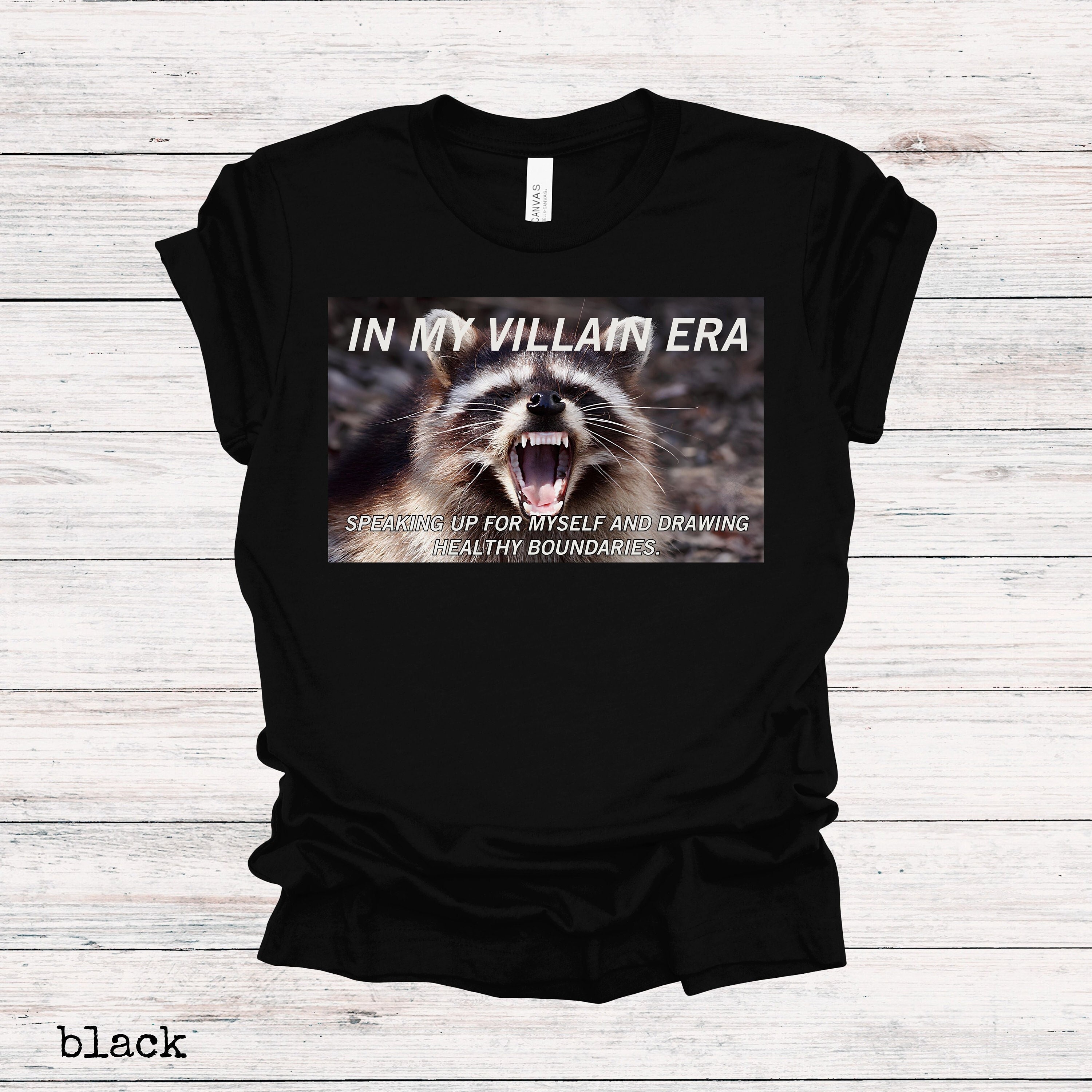 In My Villain Era Raccoon Shirt Meme Shirt Raccoon Sweatshirt Shirts ...