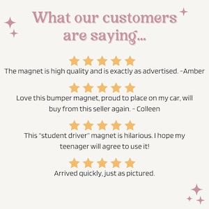 new driver magnet funny student driver magnet cat bumper sticker funny car magnet gift for new driver funny cat driving cat meme sticker Bild 5