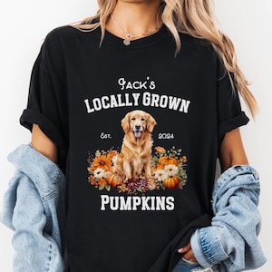 May include: Black t-shirt with white text that reads "Jack's Locally Grown Est. 2024 Pumpkins". A golden retriever dog sits in a pile of pumpkins and autumn foliage.