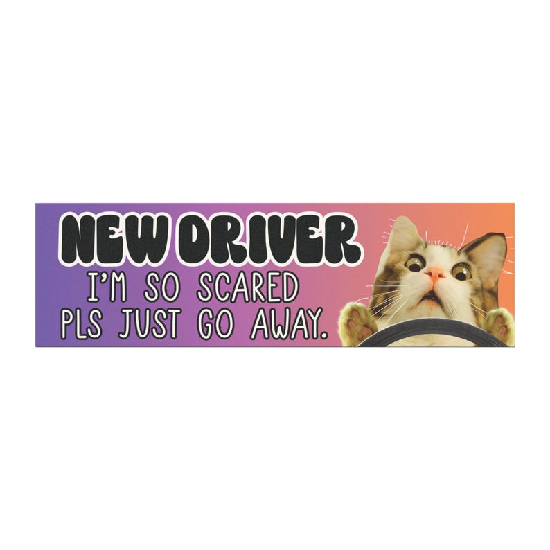 new driver magnet funny student driver magnet cat bumper sticker funny car magnet gift for new driver funny cat driving cat meme sticker Bild 4