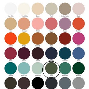 May include: A colour chart featuring a grid of thirty-six circular colour swatches with labels underneath each. The swatches display a wide variety of hues including whites, neutrals, pinks, reds, oranges, yellows, browns, purples, blues, and greens. One specific dark olive green circle is highlighted with a black circular outline and labelled Olivine.