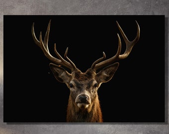 Hirsch Leinwand Wandkunst, Wild Wild Hirsch Poster, Wild Life Malerei Desing, Süße Tiere Leinwand Wandkunst, Hirsch Liebhaber Geschenk Plakat
