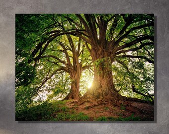 Angel Oak Tree canvas wall art Large Canvas Wall Art - Old Tree print art Nature wall art Living room Large Oak Tree of life print Canvas