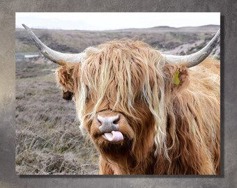 Cow With Tongue Black White Print Farmhouse Wall Decor Art Rustic Highland Bull Canvas Wall Art Animals Painting Scottish Bull  CANVAS