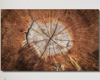Wood Texture Print, Tree Ring Canvas Art, Wood Crack Poster, Modern Wall Art, Brown Wall Art, Abstract Wood Decor, Contemporary Wall Art,