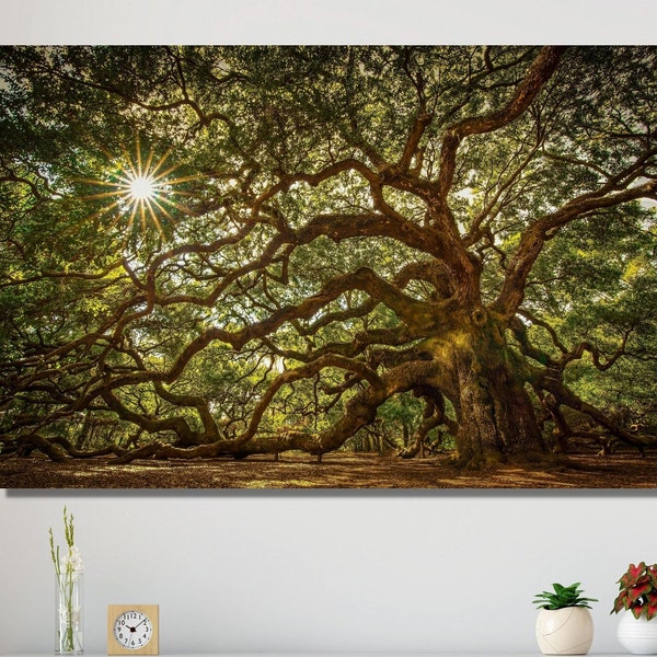 Angel Oak Tree of life wall art Large Canvas Wall Art - Old Tree print Nature Home Decor Living room Large CANVAS