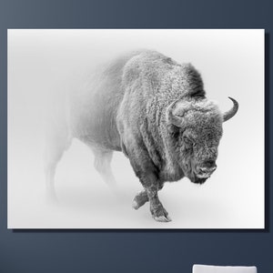 Vintage Highland Cow Canvas Print // Highland Cow Old Wall Background Canvas Print // Vintage Wall Art // Farmhouse Wall Decor
