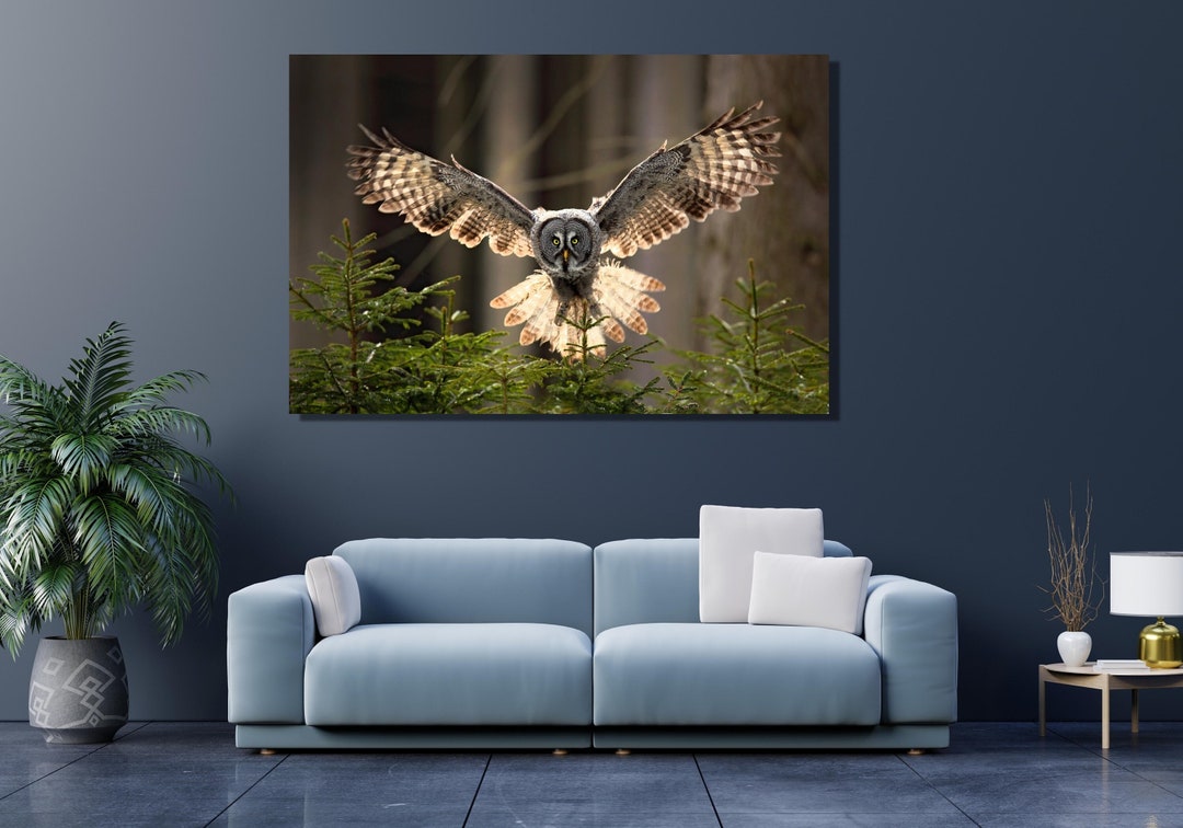 Forest With Owl Canvas Poster Flying Great Grey Owl Print Green Spruce ...