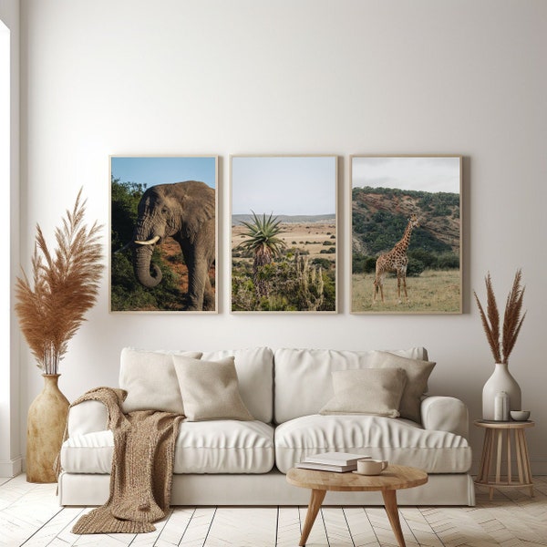 Südafrikanische Naturschönheiten - 3-teiliges Wohnzimmer-Bilder-Set