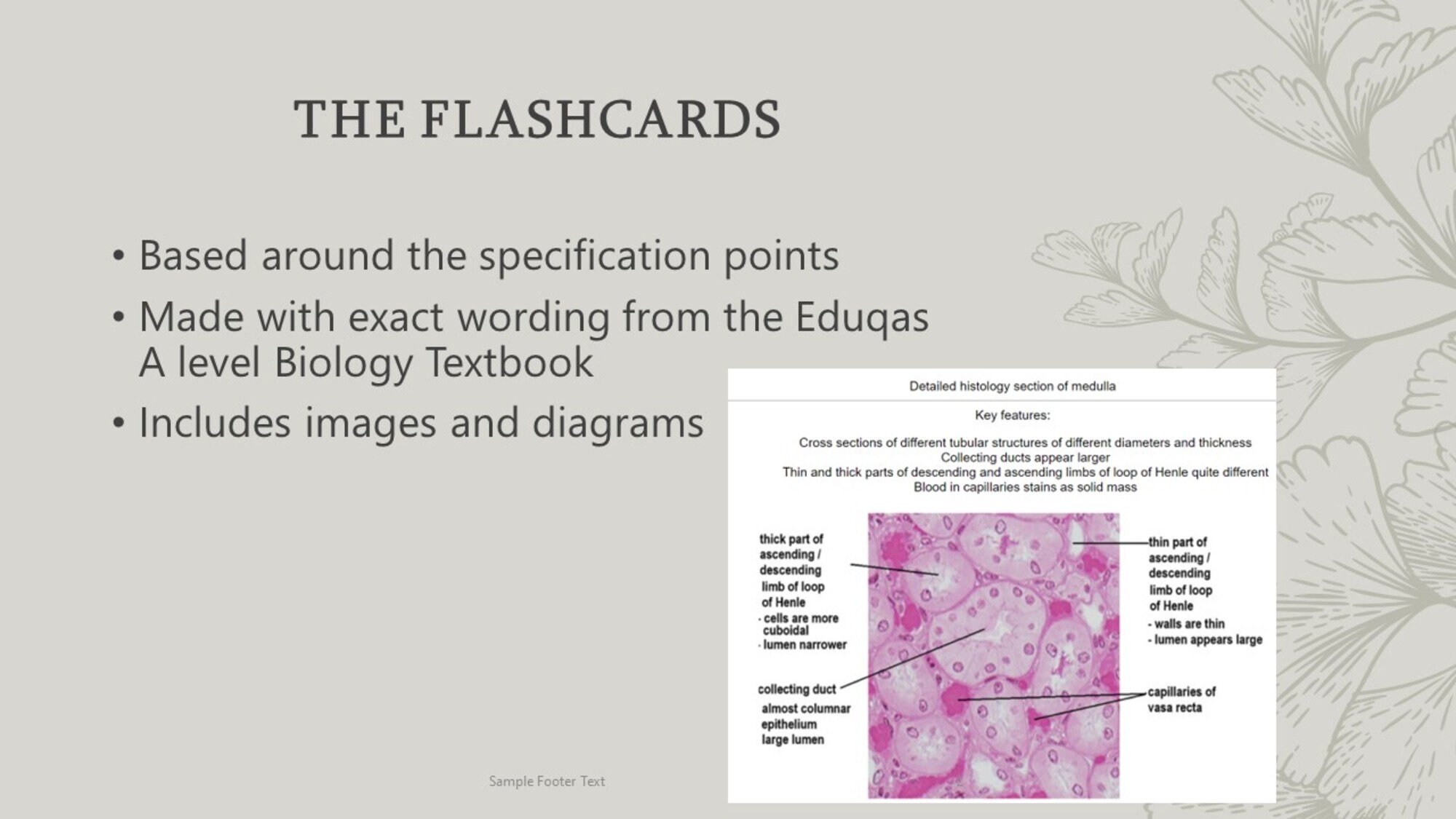 Eduqas A Level Biology Anki Flashcards Year 1 and 2 From an A Student