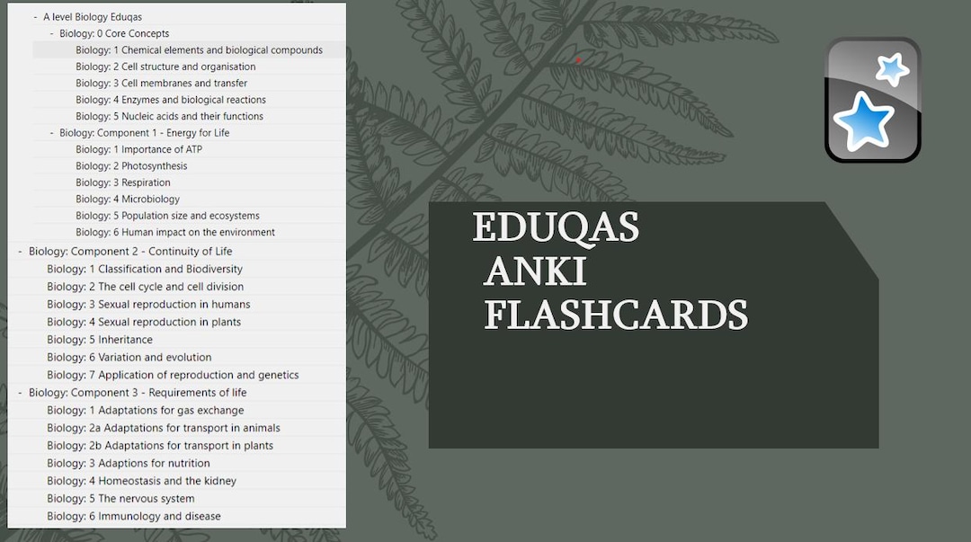 Eduqas A Level Biology Anki Flashcards - ( YEAR 2 ONLY) - From an A* ...