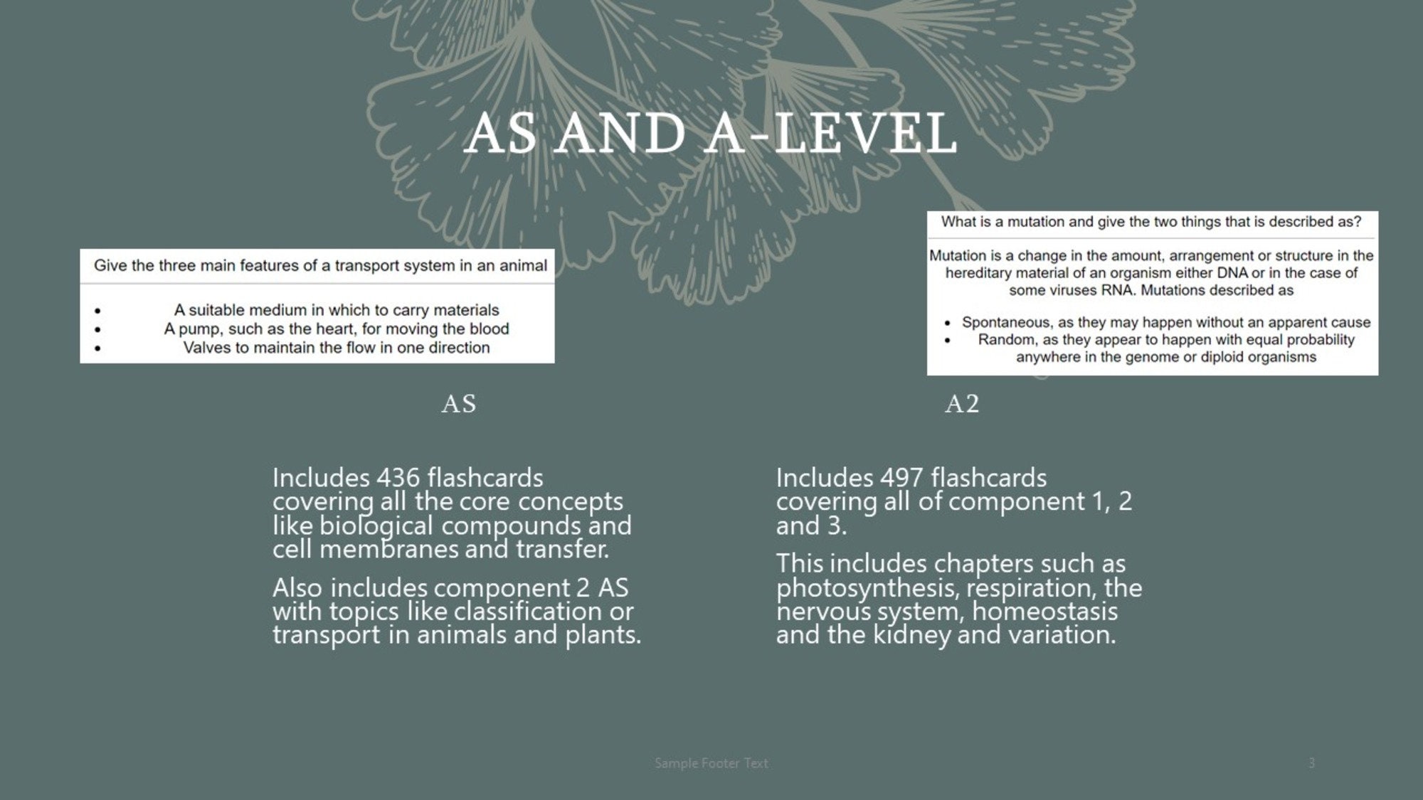 Eduqas A Level Biology Anki Flashcards Year 1 and 2 From an A Student