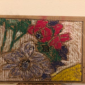 flores para algernon anemone7