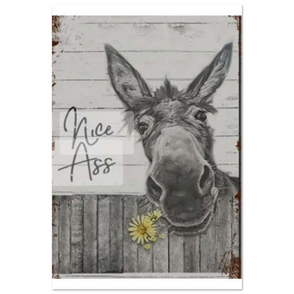 Donkey Nice Ass Aluminum Print Sign - 20x30cm / 8x12"