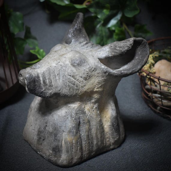 Discover the primal power of the hyena - a shamanic animal bust full of magic and mysticism - Item no.: SKU037